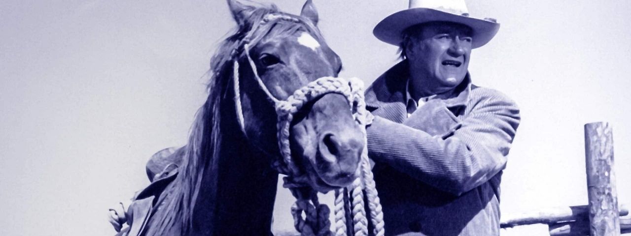 Die Cowboys maxdome