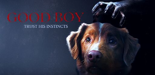Demnächst Good Boy - Trust his Instincts freenet Video