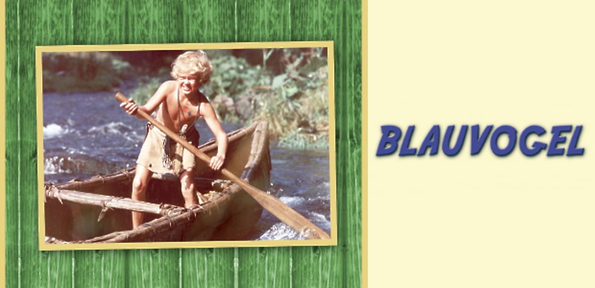 Blauvogel videociety