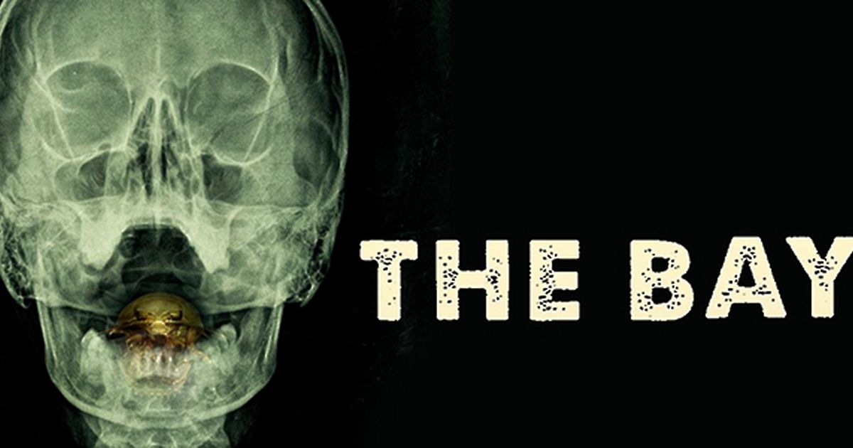 The Bay videociety