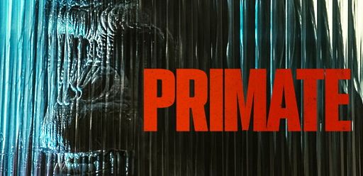 Primate