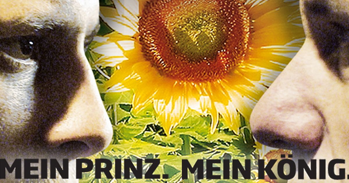 mein schwert für den könig