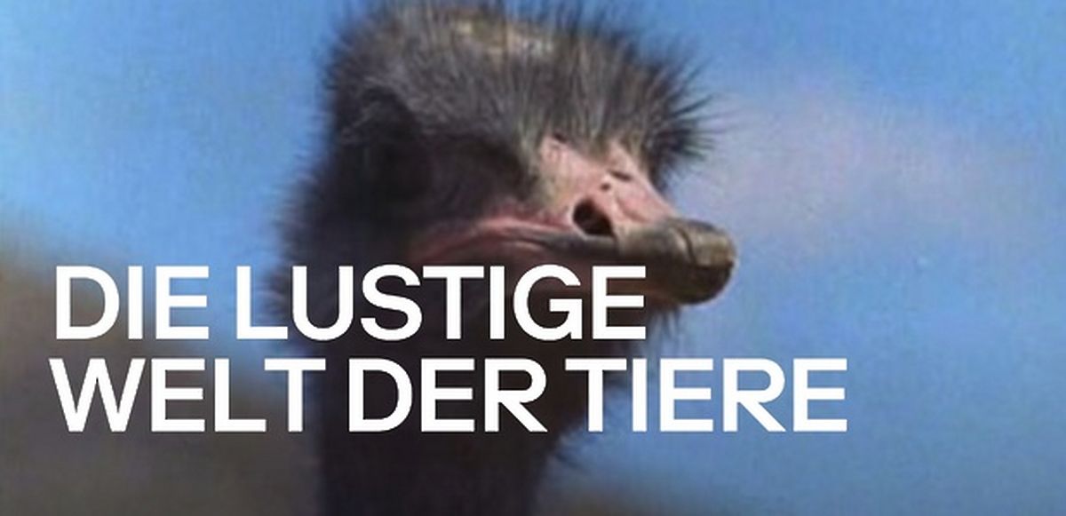 Die Lustige Welt Der Tiere Teil 2 Die lustige Welt der Tiere | videociety