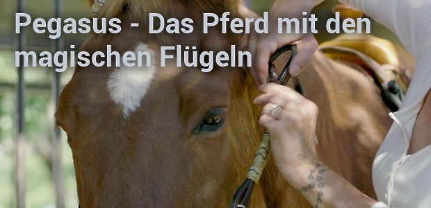 Pegasus Das Pferd Mit Den Magischen Flügeln Pegasus - Das Pferd mit den magischen Flügeln | maxdome