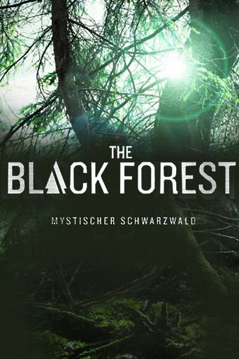 The Black Forest - Mystischer Schwarzwald - 3D