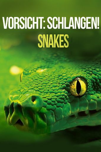 Vorsicht: Schlangen! Snakes - 3D