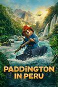 Paddington in Peru